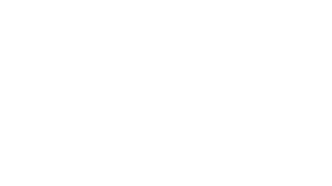 捡豆豆